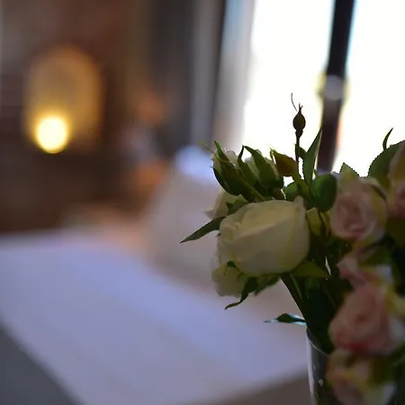 Hotel Cunda Butik Ayvalı